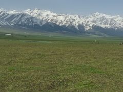 -新疆那拉提国家旅游度假区