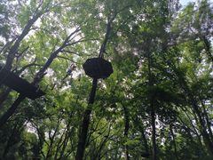 -WeLope紫金山探险公园