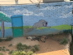 -西霞口神雕山野生动物世界