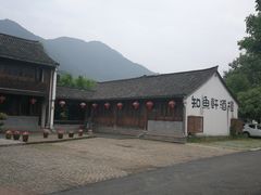 -知鱼轩