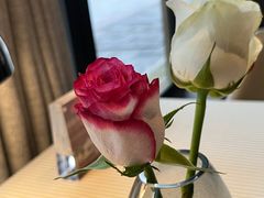 -芙蓉堂(武汉天地店)
