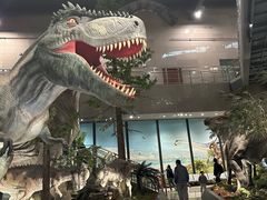 -湖南省地质博物馆