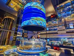 -上和臻品中国菜(花园街店)