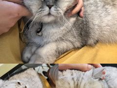 -Oasis绿洲银饰珍珠手作diy(壹方城店)
