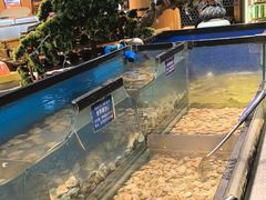 -遇上西雅图多融合海鲜自助餐厅(中房金谊广场店)