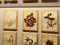 -上海自然博物馆