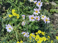 -龙云山风景区-鹿皮关长城