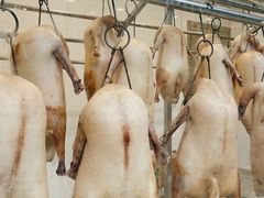 明炉烧鹅-粥旺庄(芳村店)