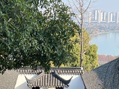 -苏州上方山国家森林公园