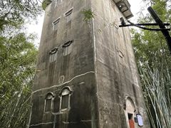 -开平碉楼文化旅游区马降龙景区