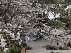 -南山植物园