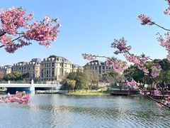 -新江湾城公园