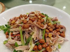 捞肚丝-姚林轩