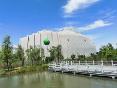 -泗洪洪泽湖湿地景区