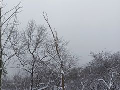 -紫金山索道-售票处