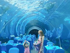 -海棠湾洲际-涛·海底餐厅·美人鱼·自助餐·海底隧道