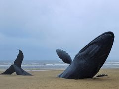 -烟台金沙滩海滨公园