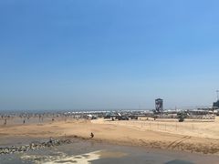 -日照海滨国家森林公园