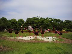 -上海鲜花港