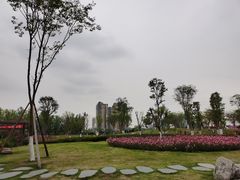 -府河摄影公园