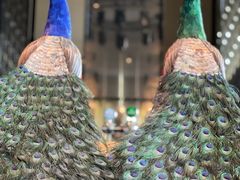 -北京索菲特大酒店