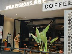 门面-野鸽子咖啡(航空路店)
