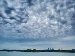 -贡湖湾湿地公园