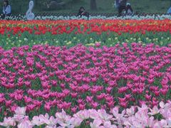 -苏州上方山国家森林公园