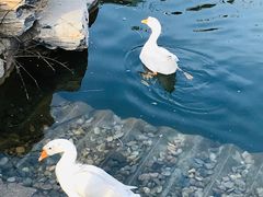 -三里河公园