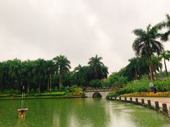 -南宁南湖公园