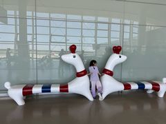 -温州龙湾国际机场