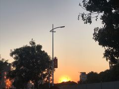 -伟记牛肉(金鸿公路店)