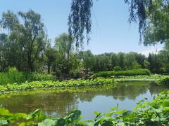 -稻香湖景欢乐岛温泉城堡