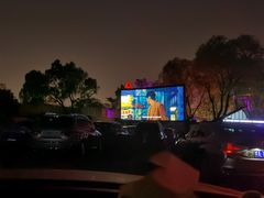 -枫花园汽车电影院(朝阳公园店)
