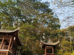 -深圳国际园林花卉博览园