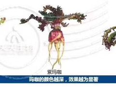 -金康医院