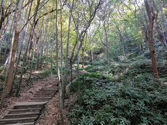 -杭州黄龙洞