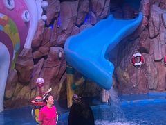 -烟台海昌鲸鲨海洋公园