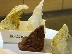 -野人牧坊Gelato(天津南开大悦城店)