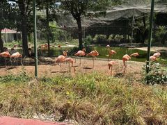 -石家庄市动物园