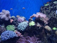 -珠海长隆海洋王国