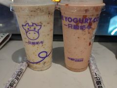 -一只酸奶牛(八一路店)