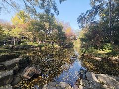 -秋霞圃