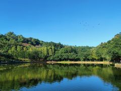 -莲花山公园