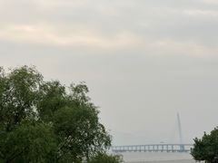 -深圳湾公园(南山区)