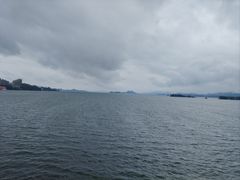 -浔味·山屿湖·正宗淳牌全鱼宴老字号