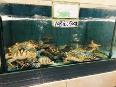 水产区-秋姐美食店(旅游大道店)