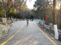 -云龙山