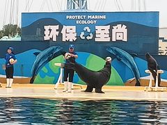 -秦皇岛乐岛海洋王国