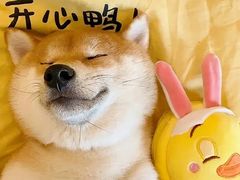 -十八家面馆(均瑶店)